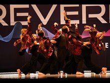 The Fever