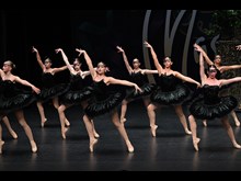 Black Swans